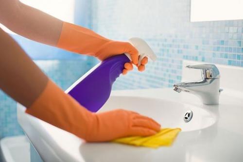 Ana Paula Cleaning Services