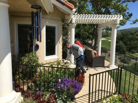 Insight Pest Management