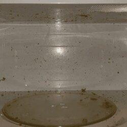 Zen Cleaning Services