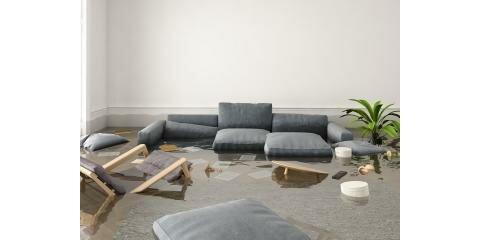 AllService Inc Restoration