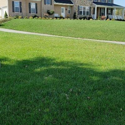 DTL Total Turf Care Lawn Care Service