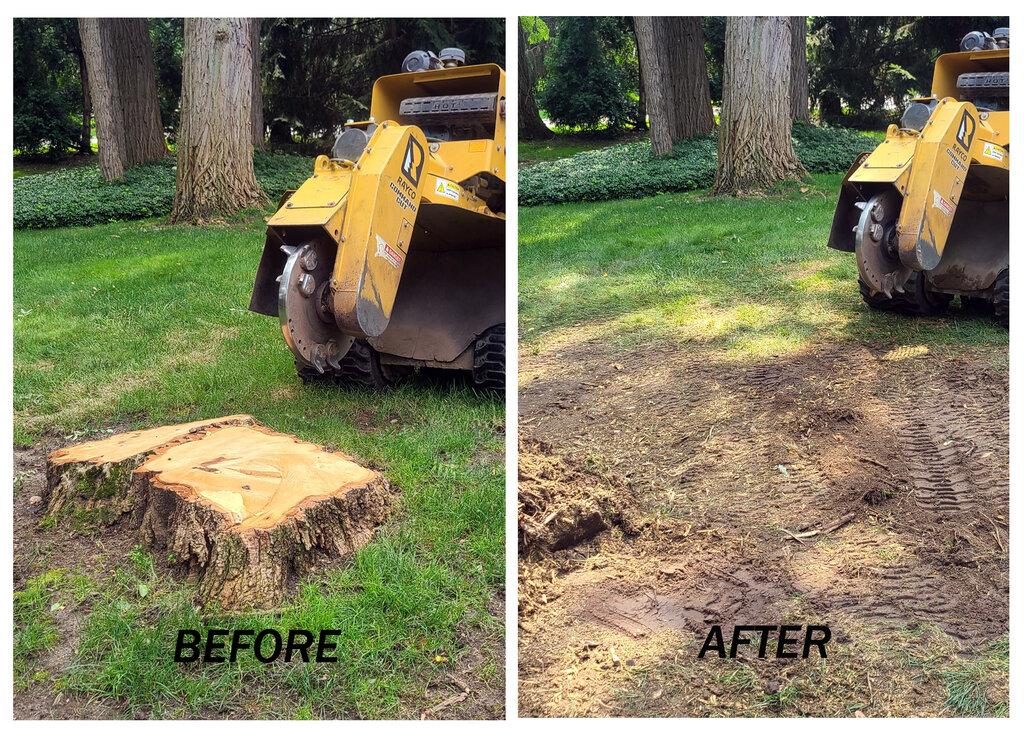 RL Stump Grinding Service