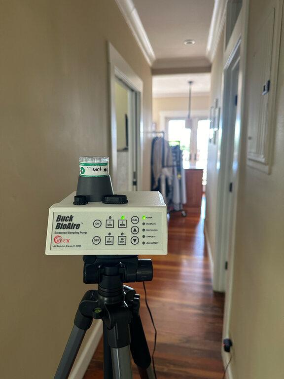24H Mold Inspection of Michigan