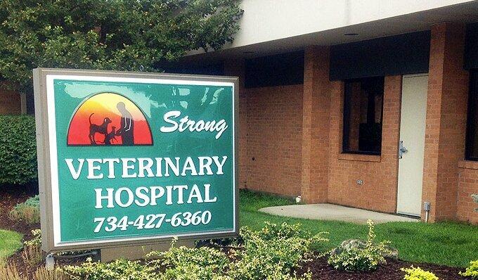 Strong Veterinary Hospital