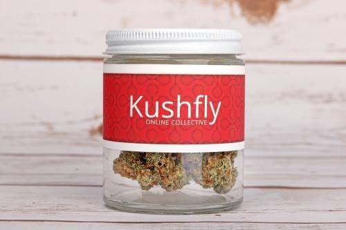 Kushfly Marijuana Delivery