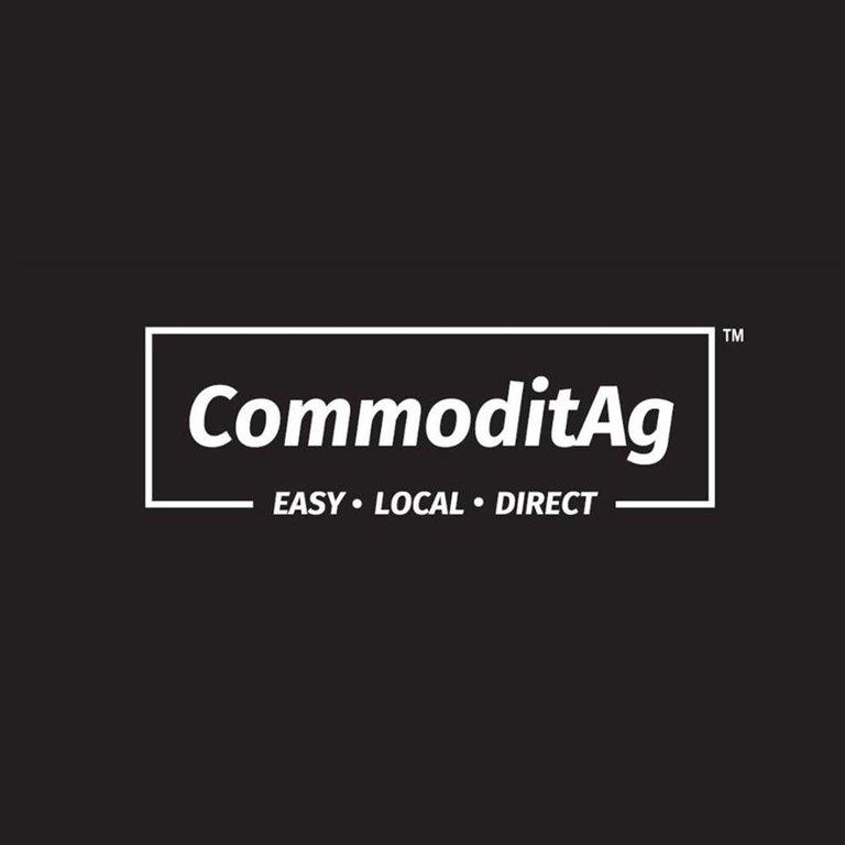 Commodit AG