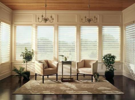 Blind & Shutter Guys