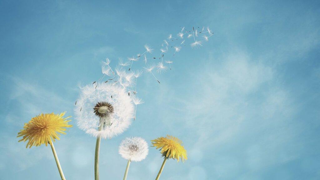 BrightDrive Healthcare Solutions