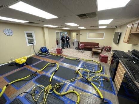 Green State Restoration of Everett