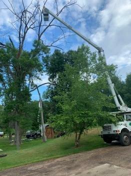 CJ Tree Service LLC
