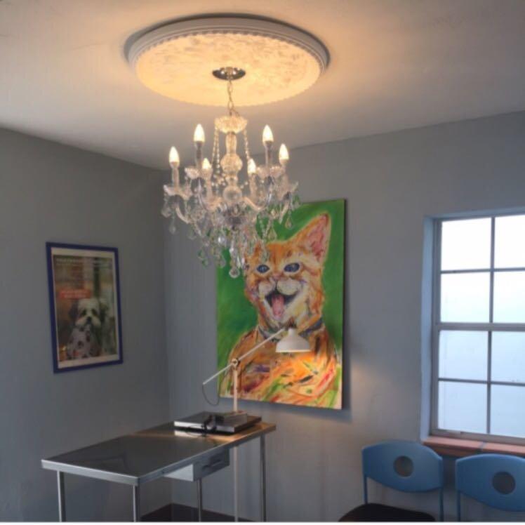 Wilton Manors Animal Hospital & Pet Ultrasound Center