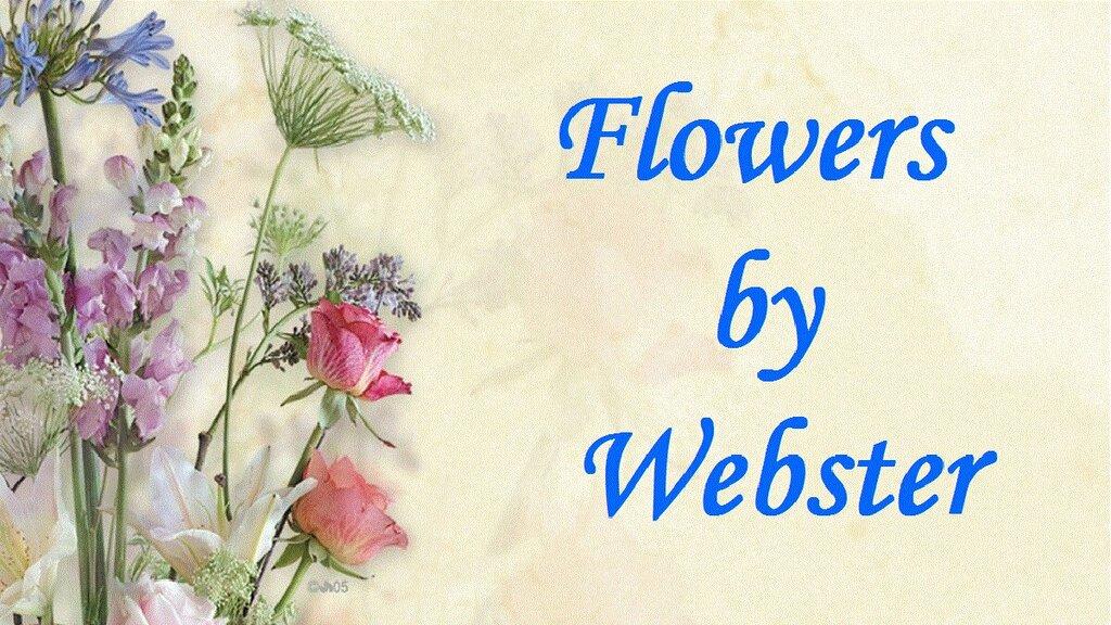 Flowers by Webster