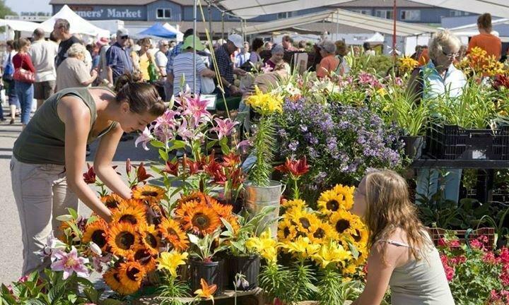 Courtyard Waterloo St Jacobs