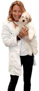 First Avenue Veterinary Hospital - CLOSED