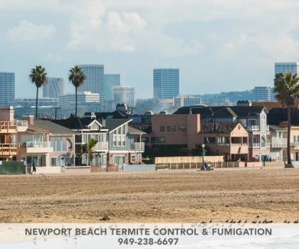 Newport Beach Termite Control & Fumigation