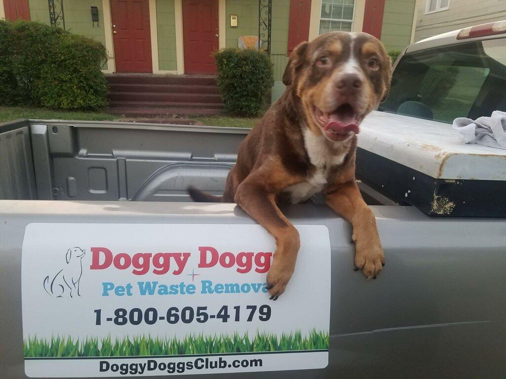 Doggy Doggz Pet Waste Removal