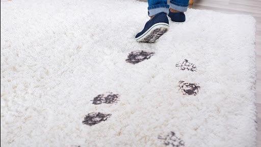 Heaven's Best Carpet Cleaning of Davenport