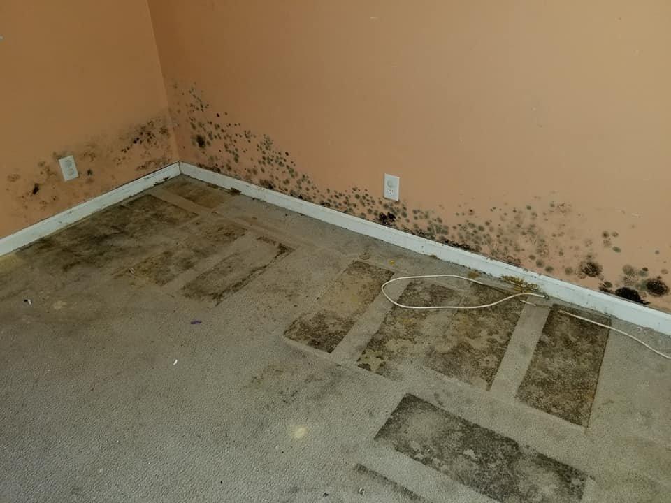 Statewide Emergency Restoration Services