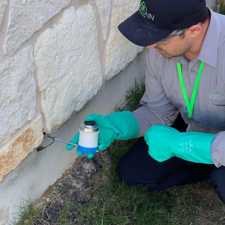Domain Pest Control