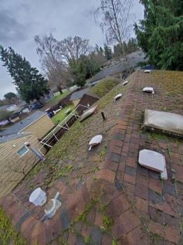 Legacy Gutter Cleaning