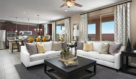 Skyline Ridge By Richmond America