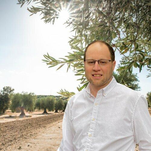 Olive Branch Marketing