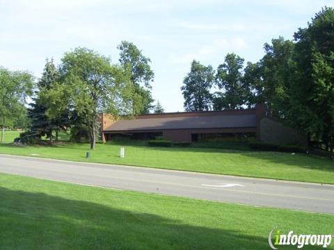 David A Levy & Associates