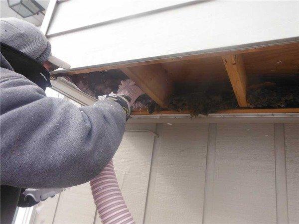 Dr. Energy Saver Lansing
