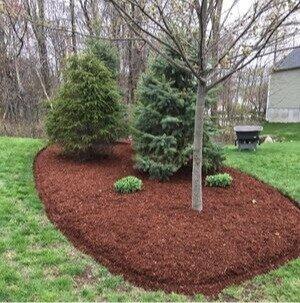 N & Out Lawncare Service LLC