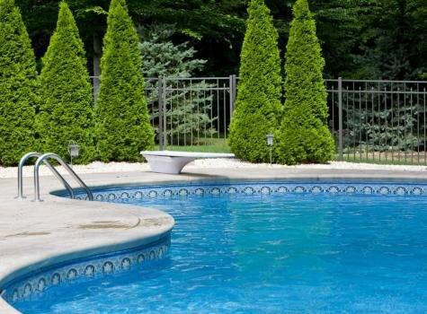 Mammoth Fence LLC
