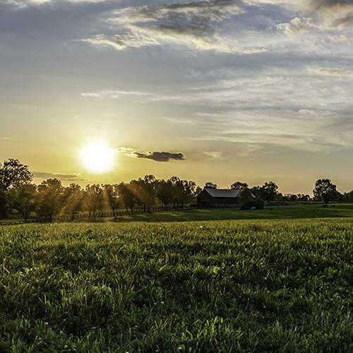 Weddle Law Office, PLLC