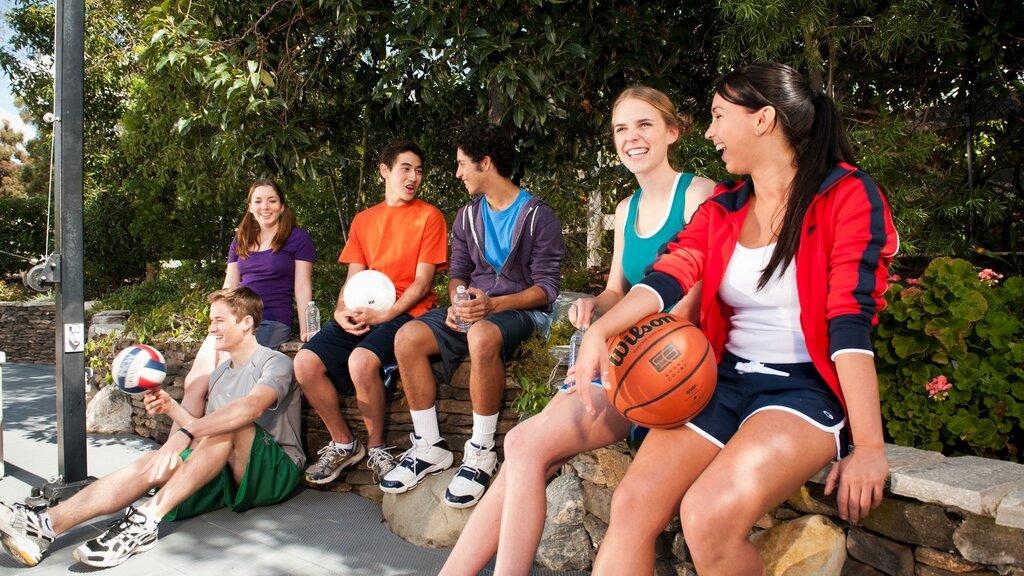 Sport Court St Louis