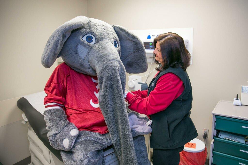 University Medical Center Tuscaloosa