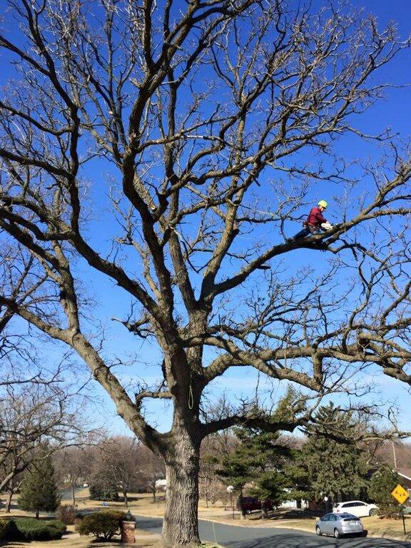 Allstate Tree Service