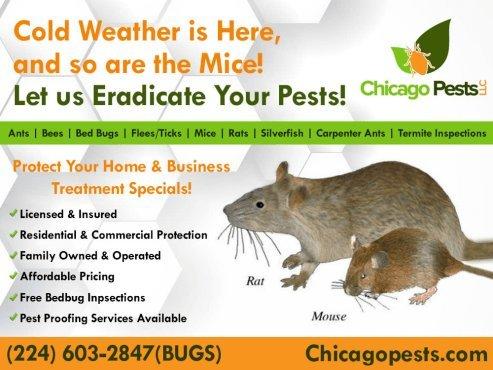 Chicago Pests, LLC