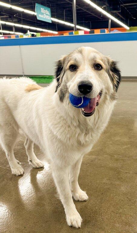 Feeders Pet Supply Boarding & Daycare