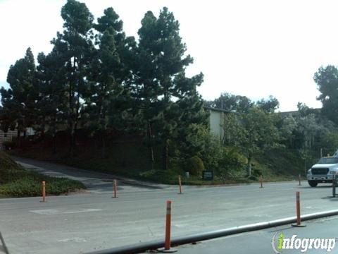 Curtis Technology Inc