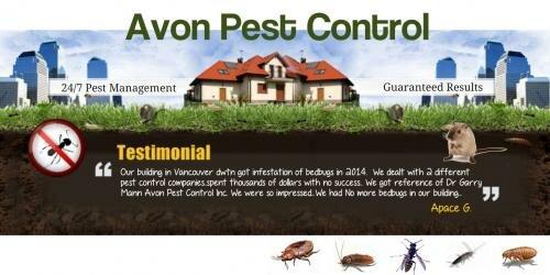 Avon Pest Control Inc