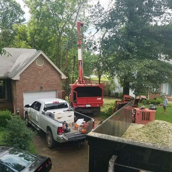 Barber's Tree Service