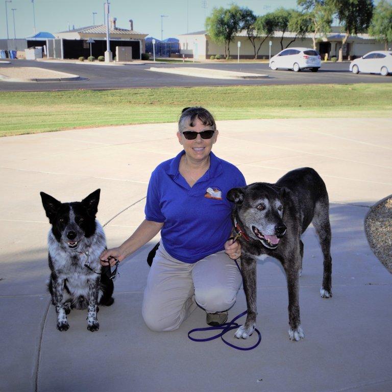 Gooddog Dog Training