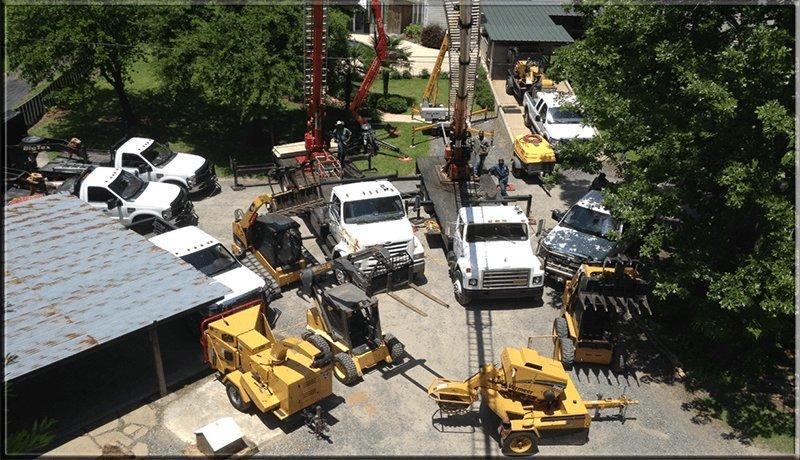 Custom Stump Tree Service