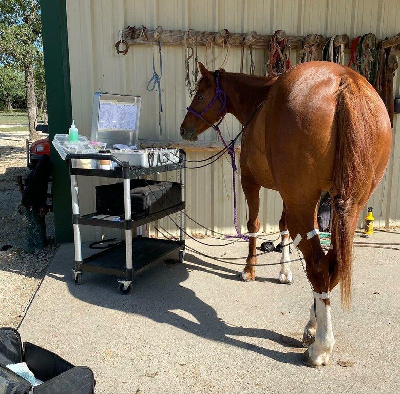 Cowboy Capital Enterprises