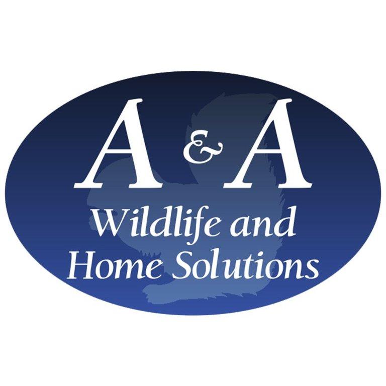 A & A Wildlife and Home Solutions