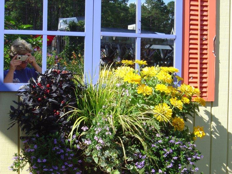 Pinecone Home and Garden Center