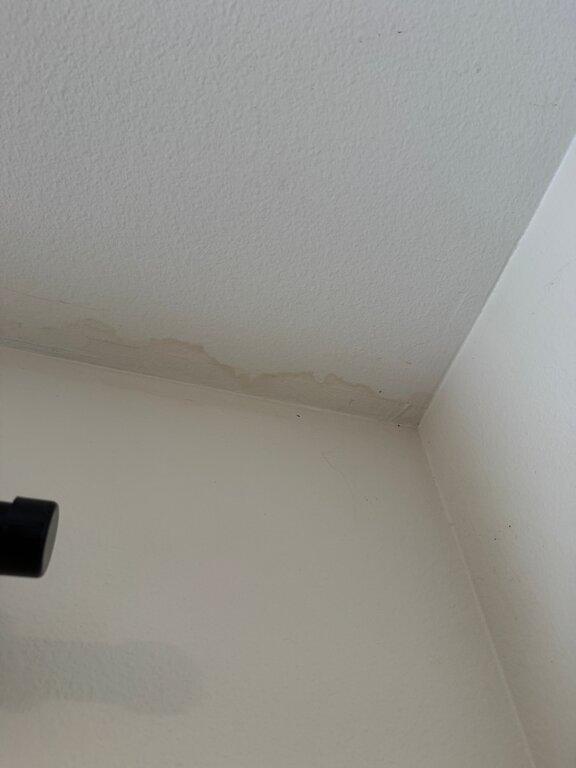 24H Mold Inspection of Dearborn