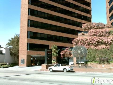 David M Shaby & Associates