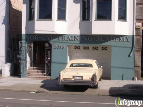 Black Bear Security Services