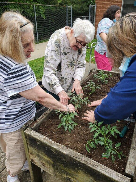 The Lodge Nursing & Rehab Center