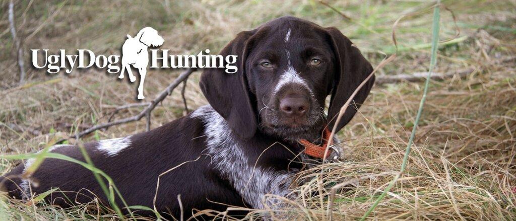 Ugly Dog Hunting