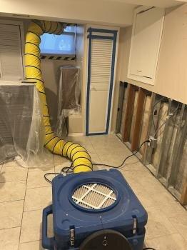 Green Guard Mold Remediation of Commack